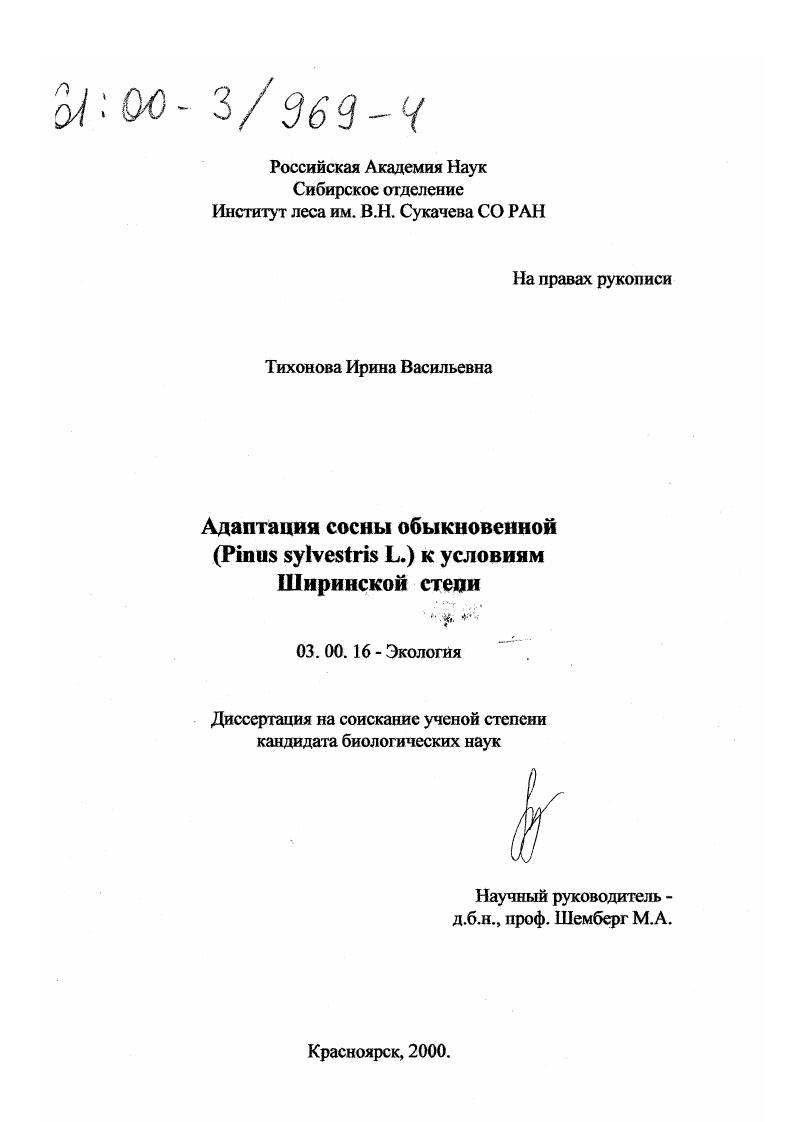 Адаптация сосны обыкновенной (Pinus sylvestris L. ) к условиям Ширинской степи