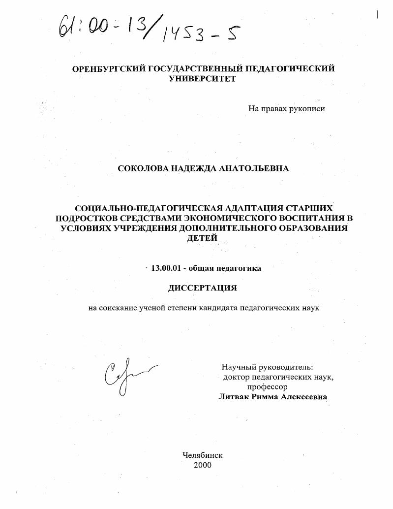 Социально-педагогическая адаптация старших подростков средствами экономического воспитания в условиях учреждения дополнительного образования детей