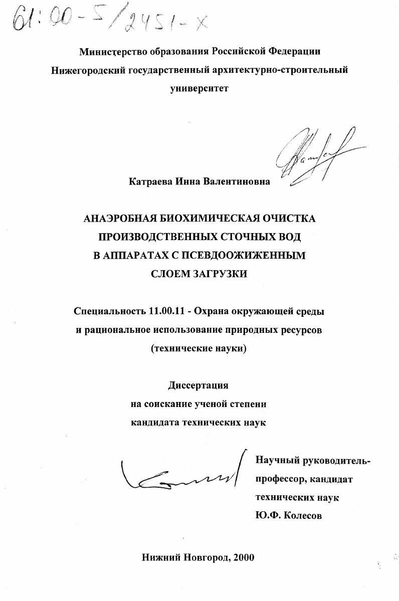 Анаэробная биохимическая очистка производственных сточных вод в аппаратах с псевдоожиженным слоем загрузки