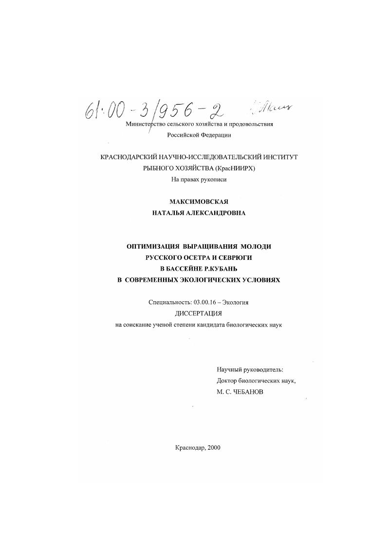Оптимизация выращивания молоди русского осетра и севрюги в бассейне реки Кубань в современных экологических условиях
