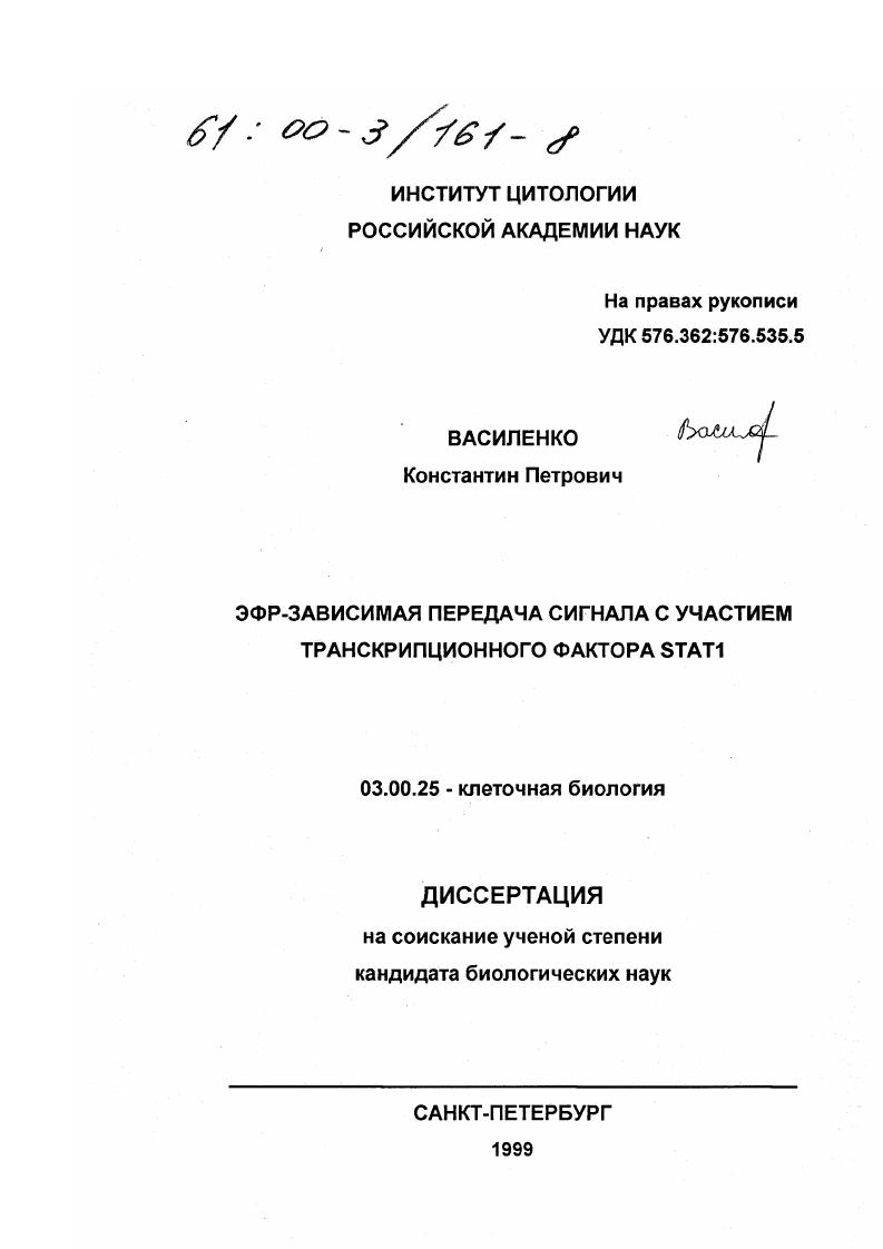 ЭФР-зависимая передача сигнала с участием транскрипционного фактора STAT