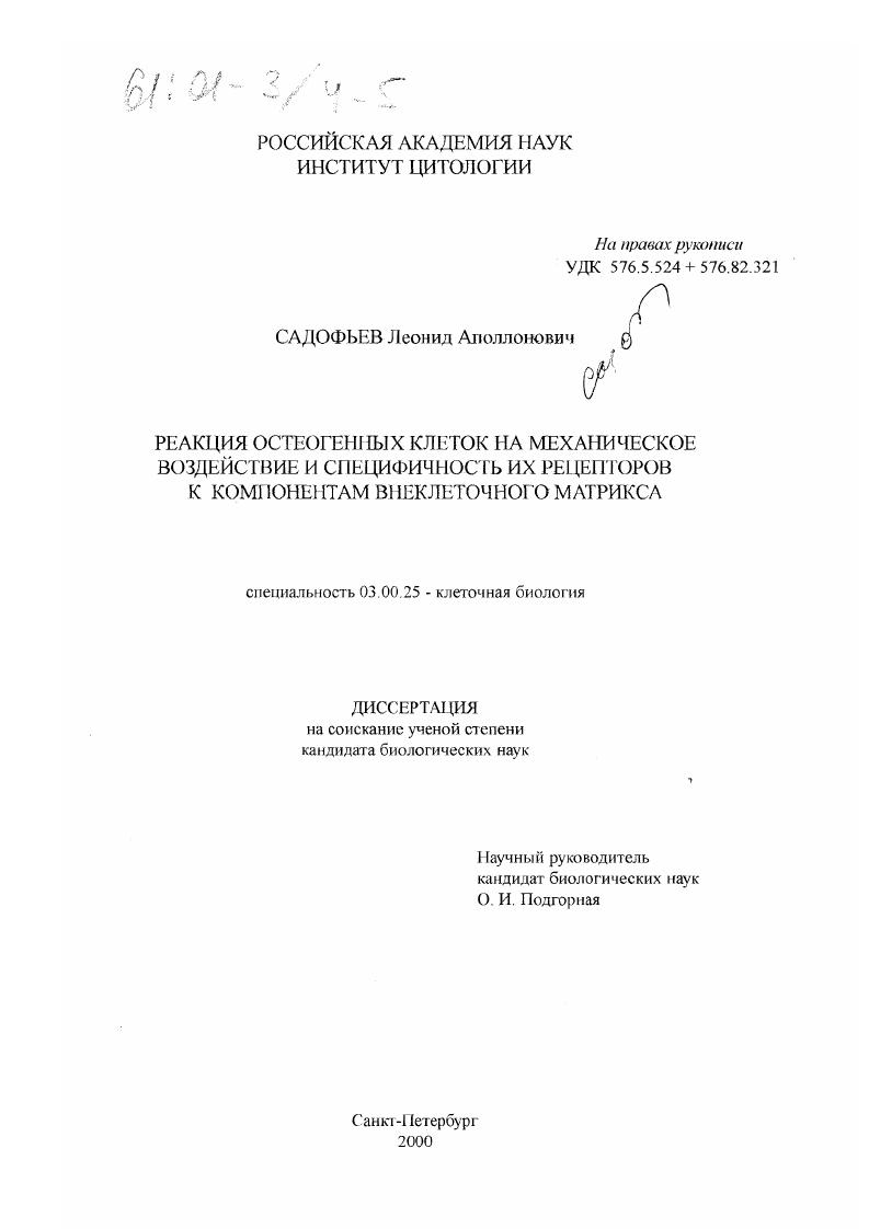 Реакция остеогенных клеток на механическое воздействие и специфичность их рецепторов к компонентам внеклеточного матрикса