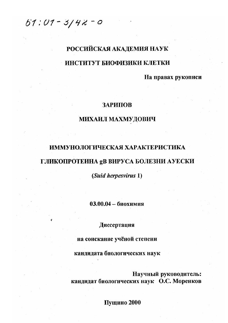 Иммунологическая характеристика гликопротеина gB вируса болезни Ауески : Suid herpesvirus 1