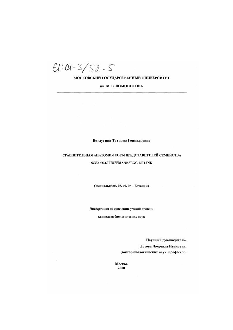 Сравнительная анатомия коры представителей семейства Oleaceae Hoffmannsegg et Link