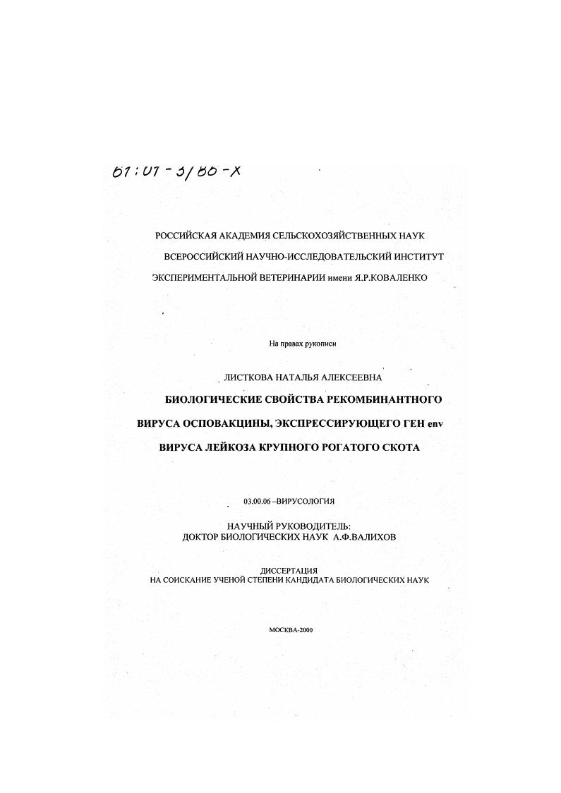 скачать диссертацию Биологические свойства рекомбинантного вируса осповакцины, экспрессирующего ген env вируса лейкоза крупного рогатого скота Биологические свойства рекомбинантного вируса осповакцины, экспрессирующего ген env вируса лейкоза крупного рогатого скота