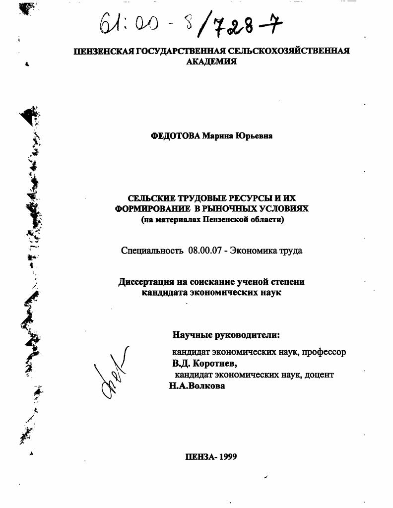 Сельские трудовые ресурсы и их формирование в рыночных условиях : На материалах Пензенской области