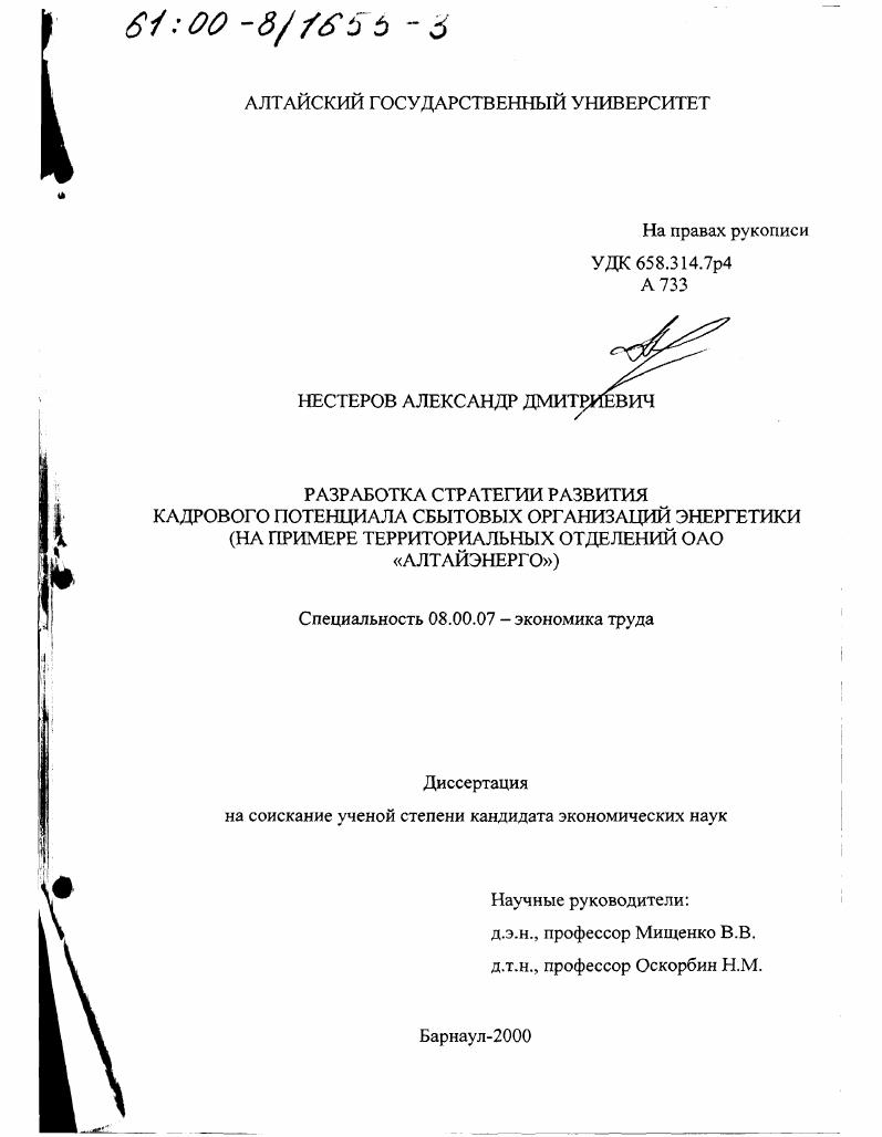 Разработка стратегии развития кадрового потенциала сбытовых организаций энергетики : На примере территориальных отделений ОАО "Алтайэнерго"