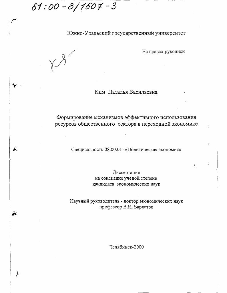 Формирование механизмов эффективного использования ресурсов общественного сектора в переходной экономике