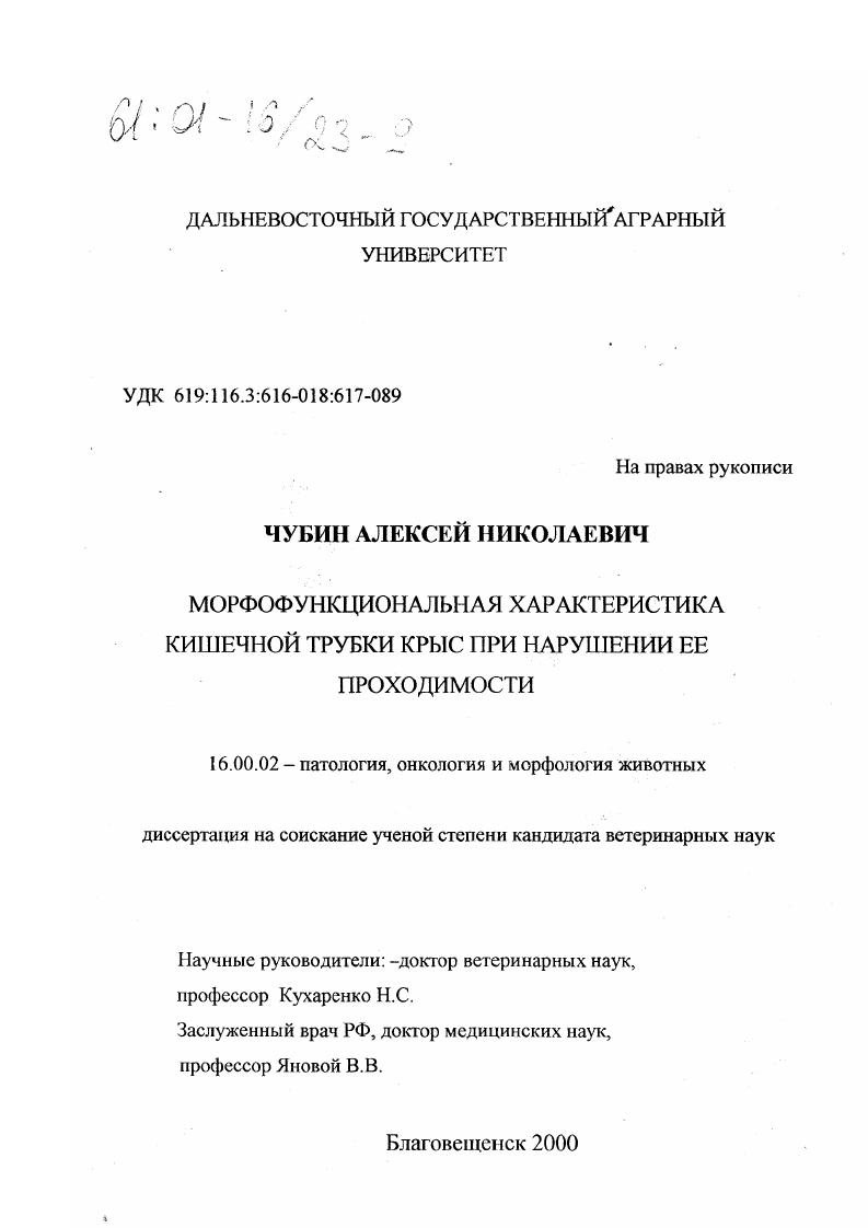 Морфофункциональная характеристика кишечной трубки крыс при нарушении ее проходимости