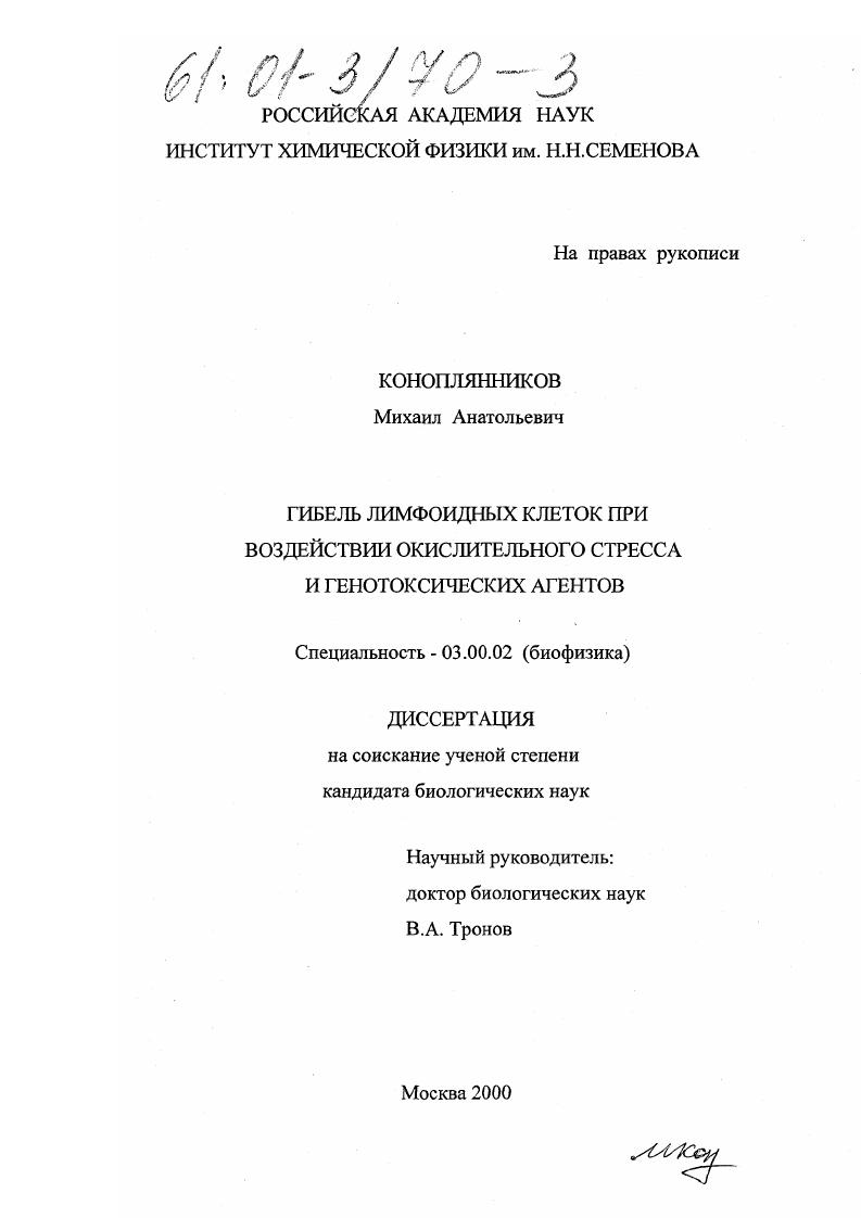 Гибель лимфоидных клеток при воздействии окислительного стресса и генотоксических агентов