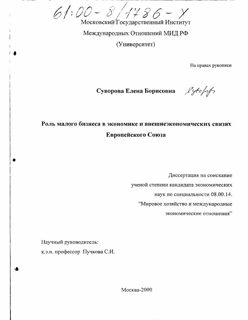 Роль малого бизнеса в экономике и внешнеэкономических связях Европейского Союза