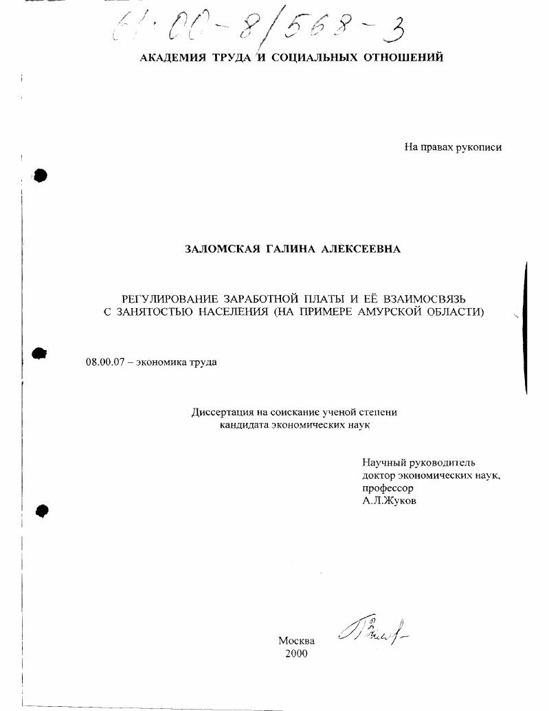 Регулирование заработной платы и ее взаимосвязь с занятостью населения : На примере Амурской области