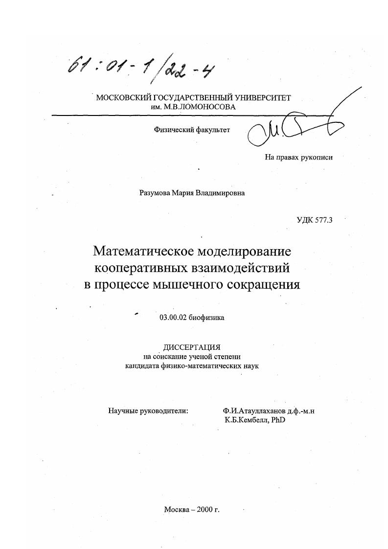 скачать диссертацию Математическое моделирование кооперативных взаимодействий в процессе мышечного сокращения Математическое моделирование кооперативных взаимодействий в процессе мышечного сокращения
