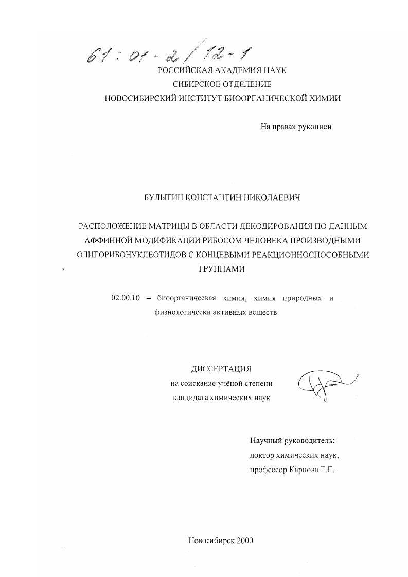Расположение матрицы в области декодирования по данным аффинной модификации рибосом человека производными олигорибонуклеотидов с концевыми реакционноспособными группами