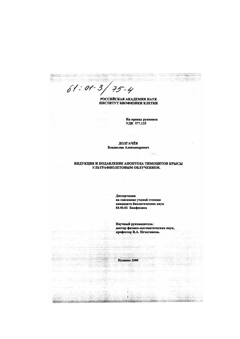 Индукция и подавление апоптоза тимоцитов крысы ультрафиолетовым облучением