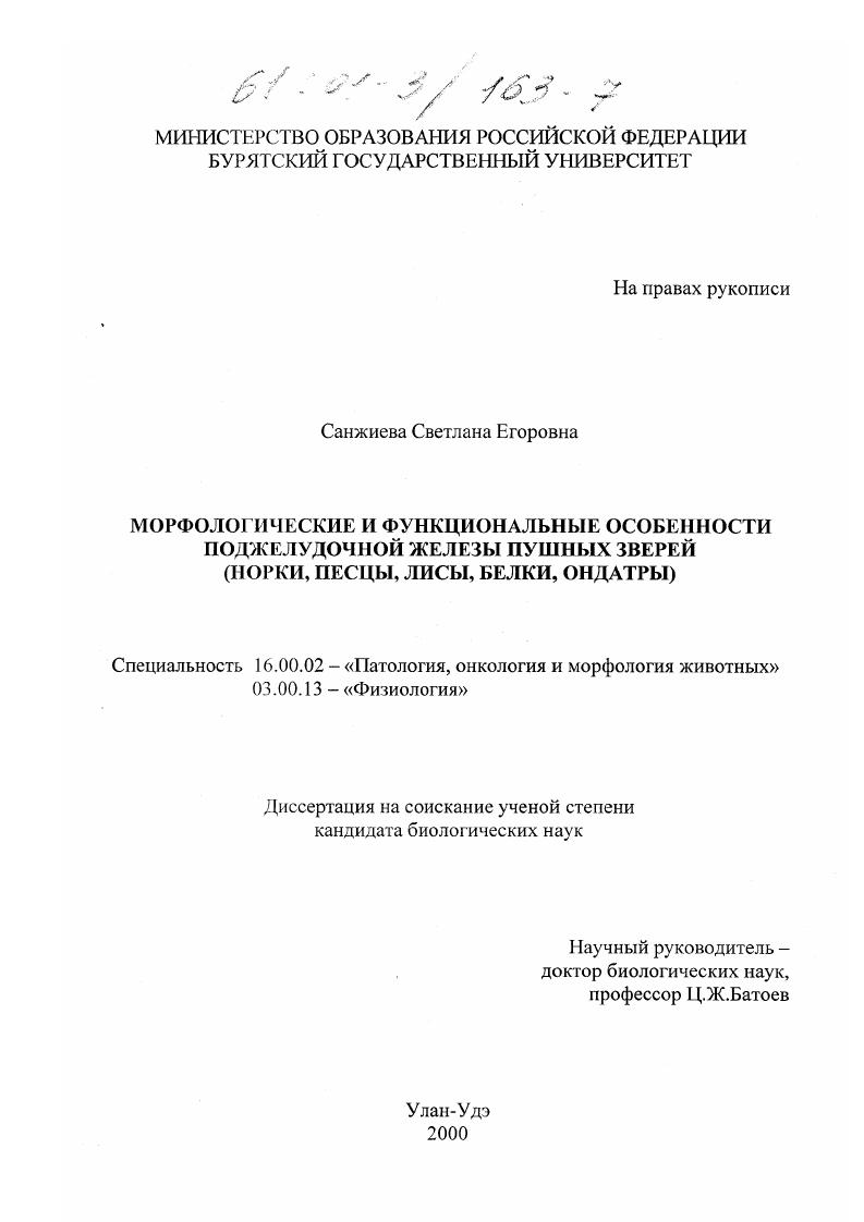 Морфологические и функциональные особенности поджелудочной железы пушных зверей : Норки, песцы, лисы, белки, ондатры