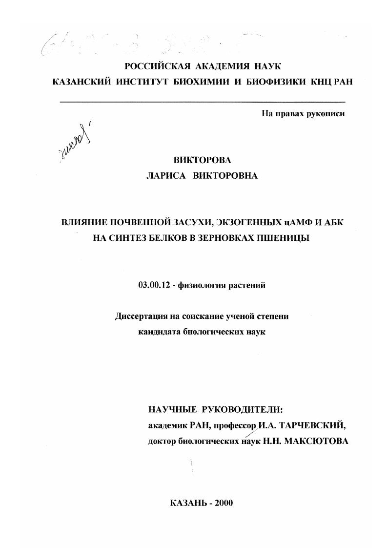 Влияние почвенной засухи, экзогенных цАМФ и АБК на синтез белков в зерновках пшеницы