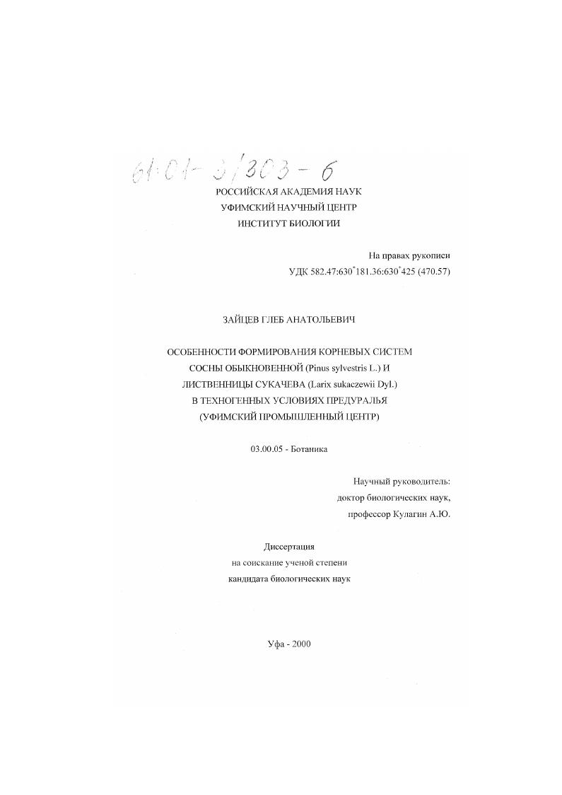 Особенности формирования корневых систем сосны обыкновенной (Pinus sylvestris L. ) и лиственницы сукачева (Larix sukaczewii Dyl. ) в техногенных условиях Предуралья : Уфимский промышленный центр