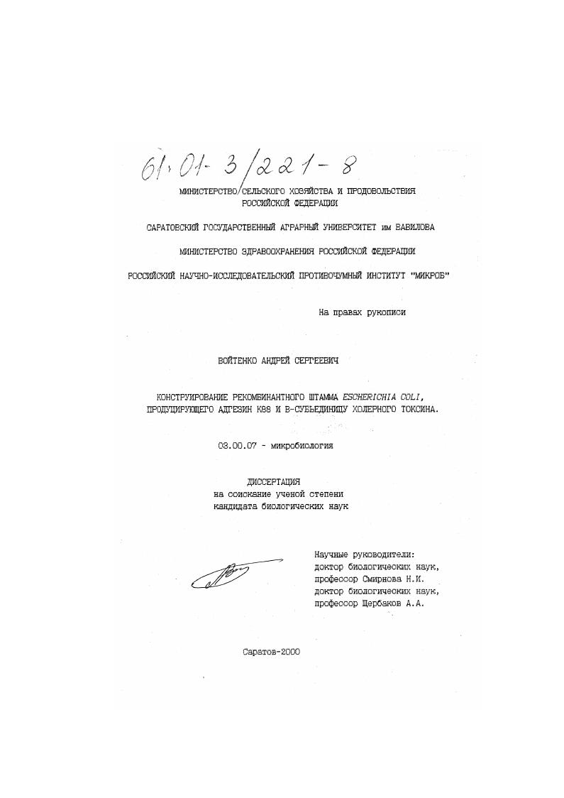 скачать диссертацию Конструирование рекомбинантного штамма Escherichia coli, продуцирующего адгезин К88 и В-субъединицу холерного токсина Конструирование рекомбинантного штамма Escherichia coli, продуцирующего адгезин К88 и В-субъединицу холерного токсина