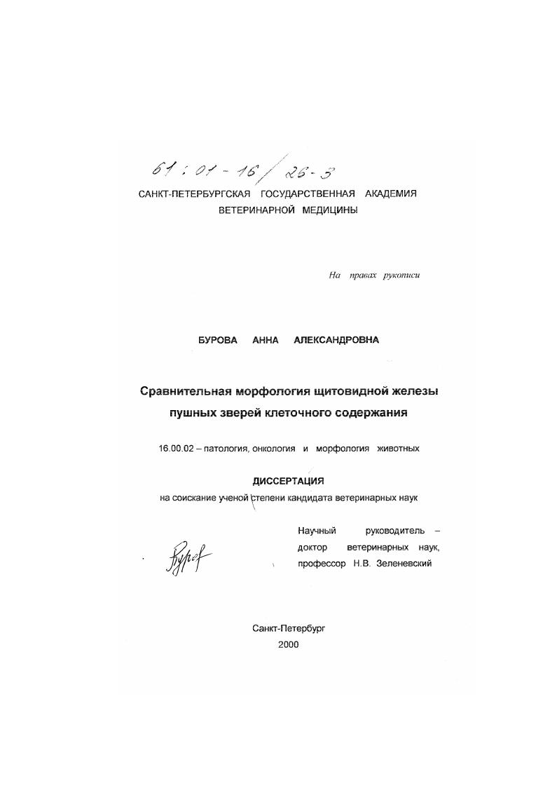 Сравнительная морфология щитовидной железы пушных зверей клеточного содержания