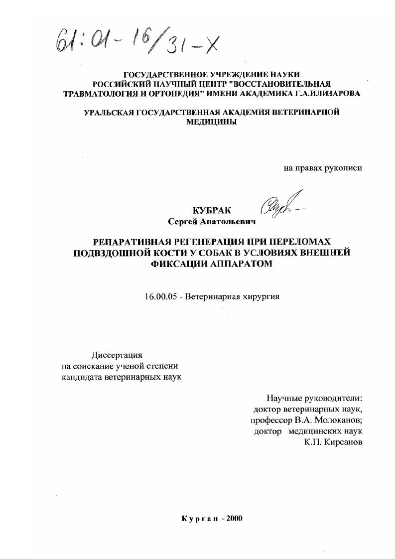 Репаративная регенерация при переломах подвздошной кости у собак в условиях внешней фиксации аппаратом