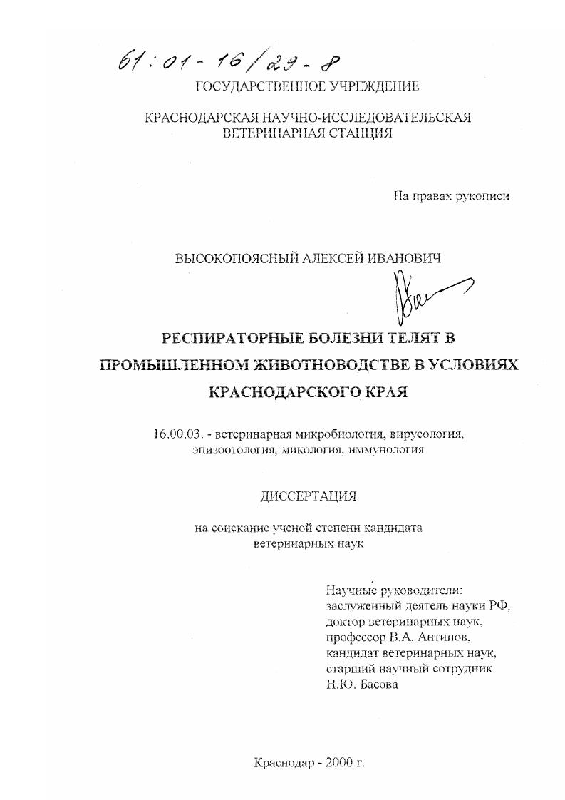 Респираторные болезни телят в промышленном животноводстве в условиях Краснодарского края