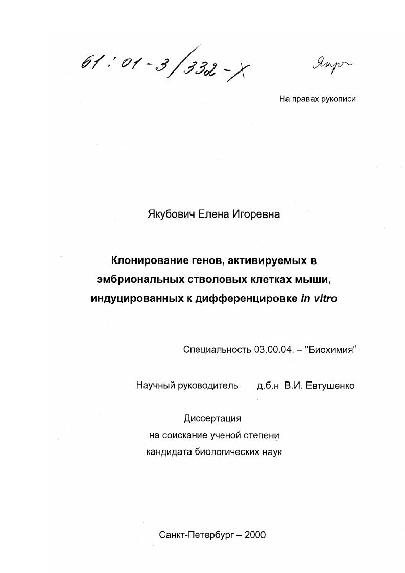 Клонирование генов, активируемых в эмбриональных стволовых клетках мыши, индуцированных к дифференцировке in vitro
