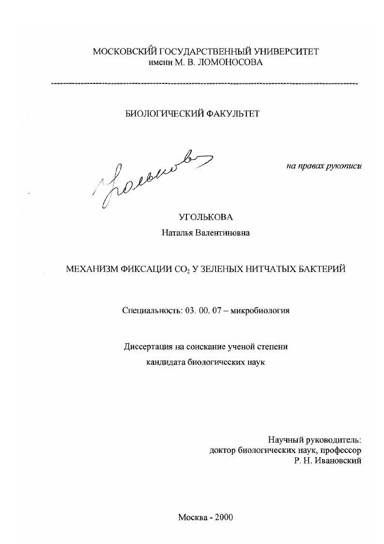 Механизм фиксации CO2 у зеленых нитчатых бактерий