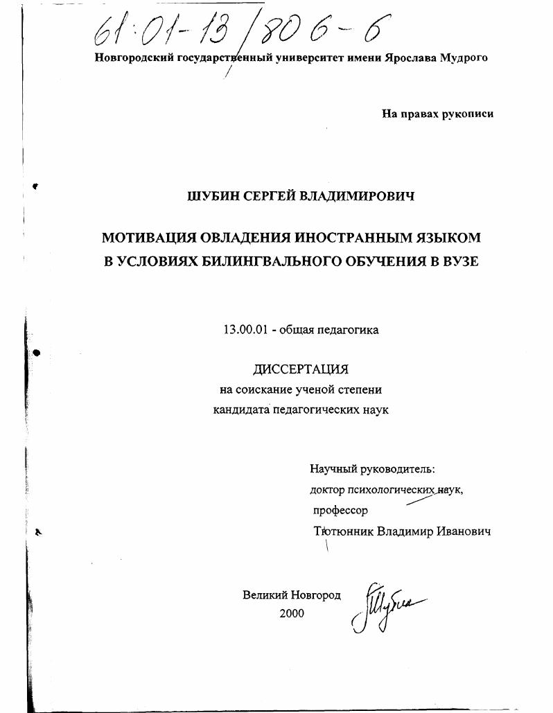 скачать диссертацию Мотивация овладения иностранным языком в условиях билингвального обучения в вузе Мотивация овладения иностранным языком в условиях билингвального обучения в вузе
