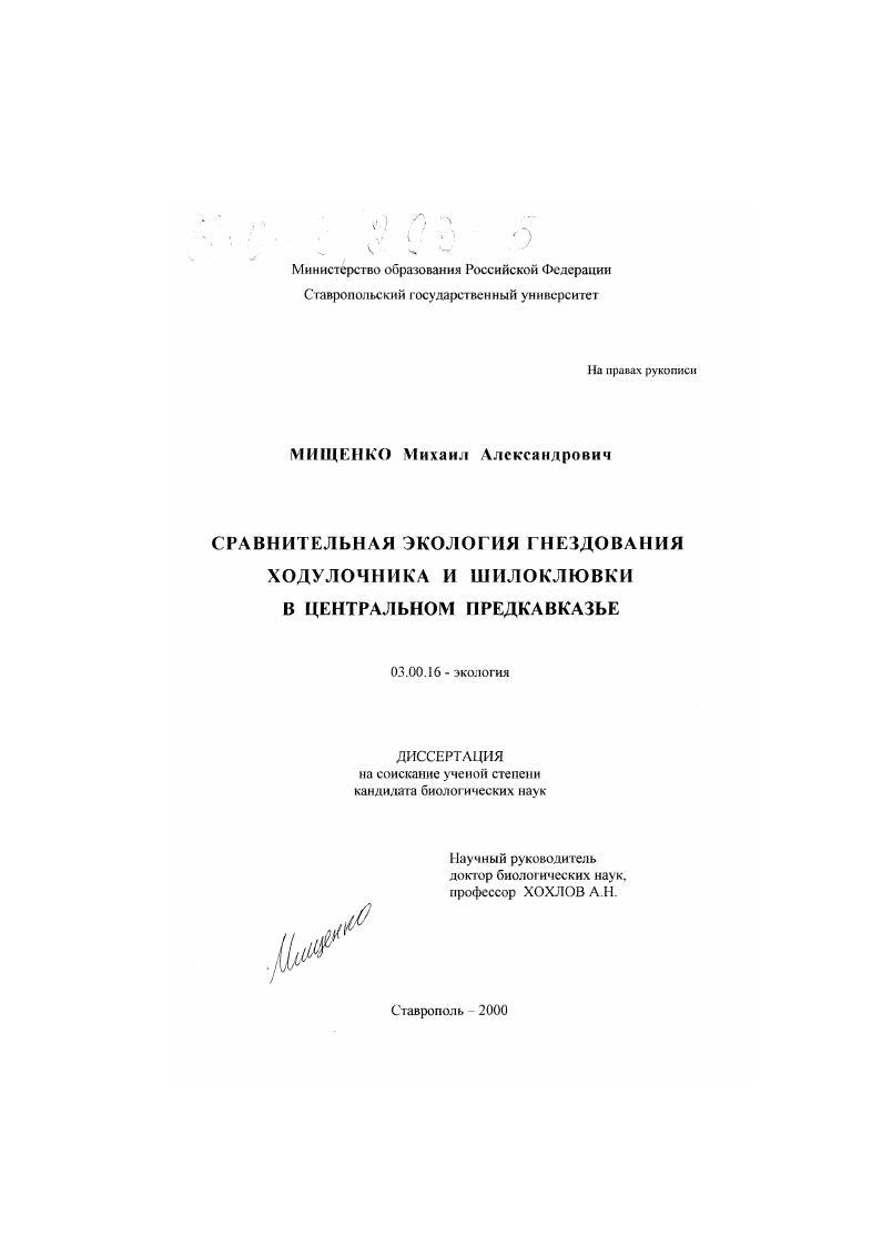 Сравнительная экология гнездования ходулочника и шилоклювки в Центральном Предкавказье