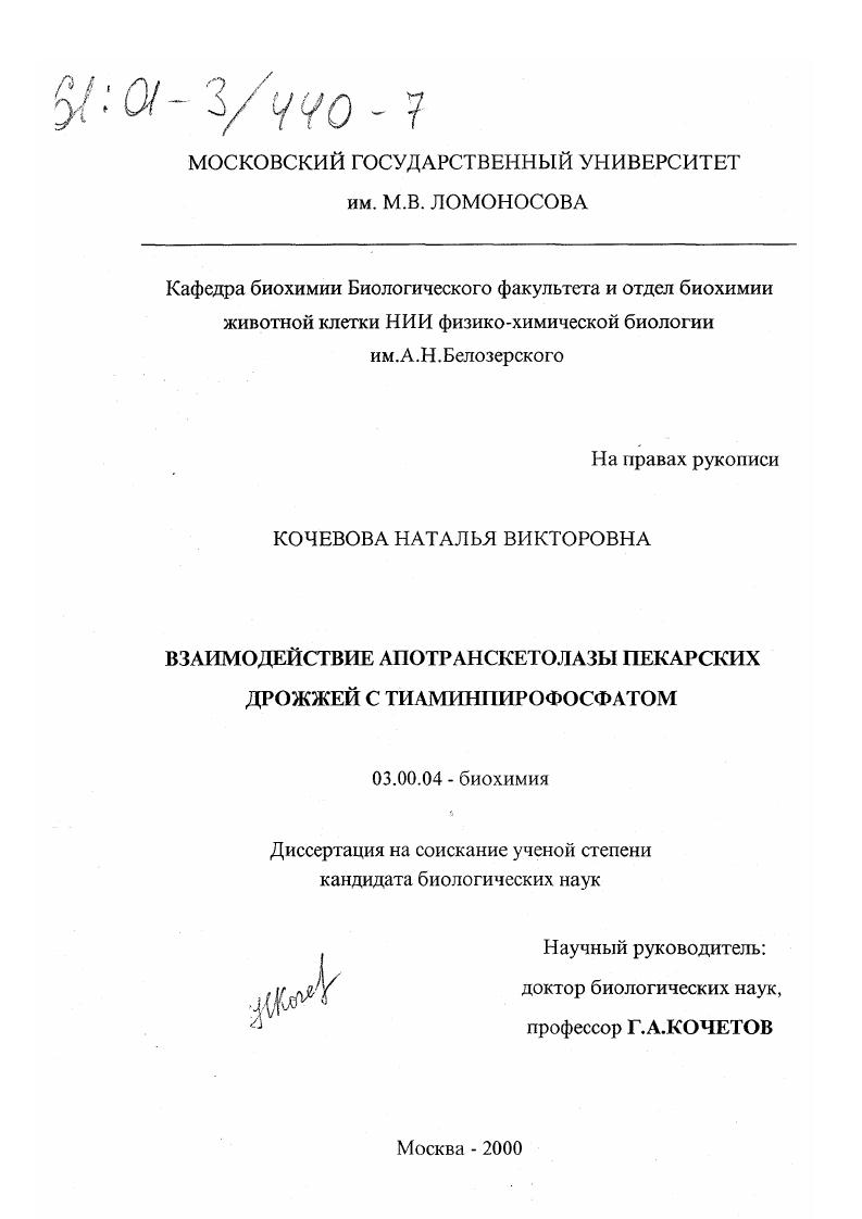 Взаимодействие апотранскетолазы пекарских дрожжей с тиаминпирофосфатом