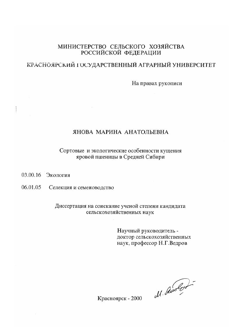 Сортовые и экологические особенности кущения яровой пшеницы в Средней Сибири
