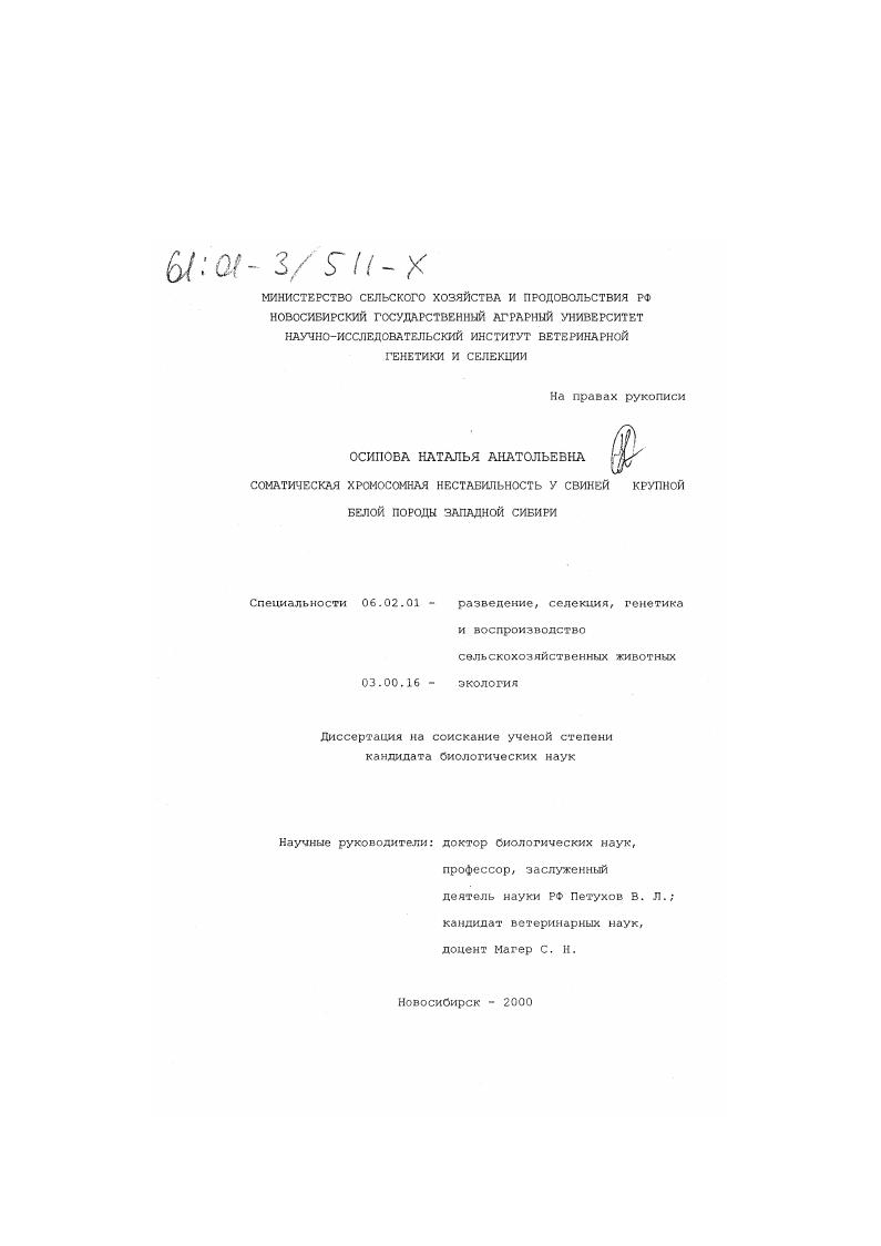 Соматическая хромосомная нестабильность у свиней крупной белой породы Западной Сибири