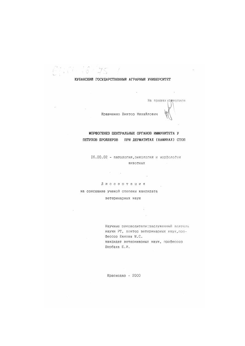 Морфогенез центральных органов иммунитета у петухов бройлеров при дерматитах (наминах) стоп
