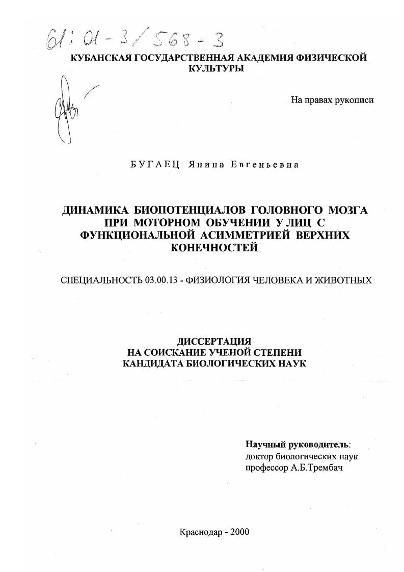 Динамика биопотенциалов головного мозга при моторном обучении у лиц с функциональной асимметрией верхних конечностей