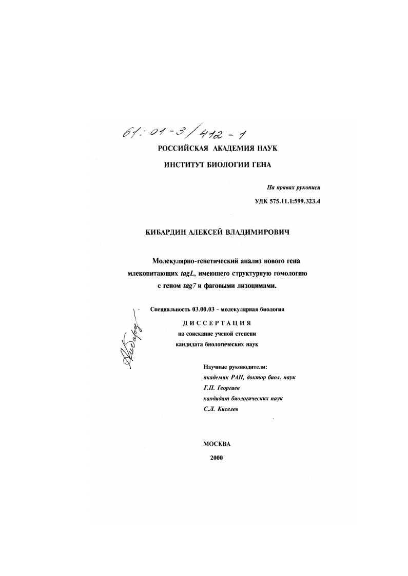 Молекулярно-генетический анализ нового гена млекопитающих tagL, имеющего структурную гомологию с геном tag7 и фаговыми лизоцимами