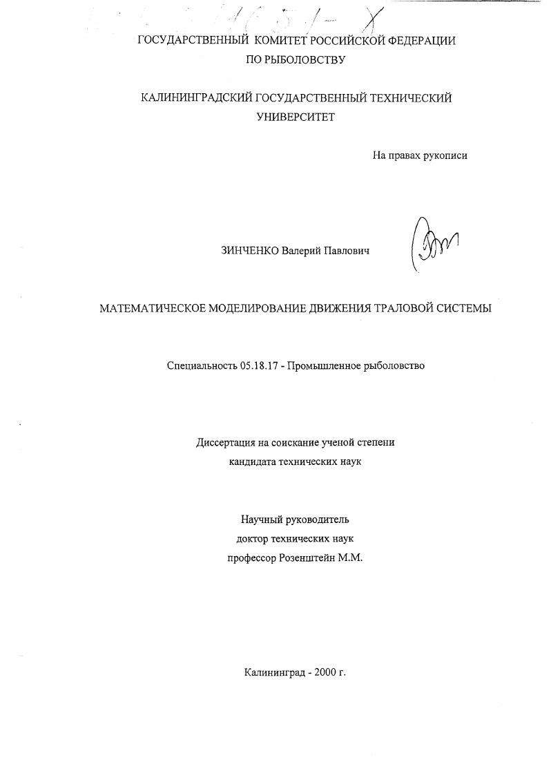 Математическое моделирование движения траловой системы