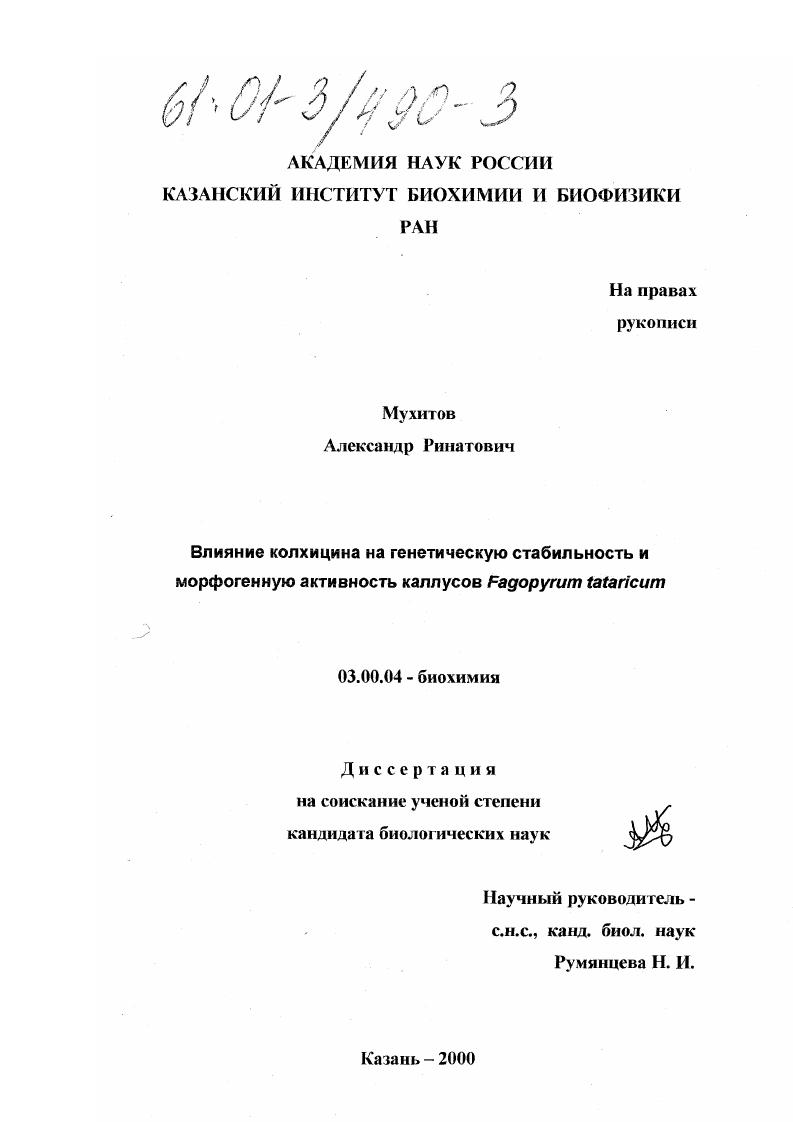 скачать диссертацию Влияние колхицина на генетическую стабильность и морфогенную активность каллусов Fagopyrum tataricum (L. ) Gaertn Влияние колхицина на генетическую стабильность и морфогенную активность каллусов Fagopyrum tataricum (L. ) Gaertn