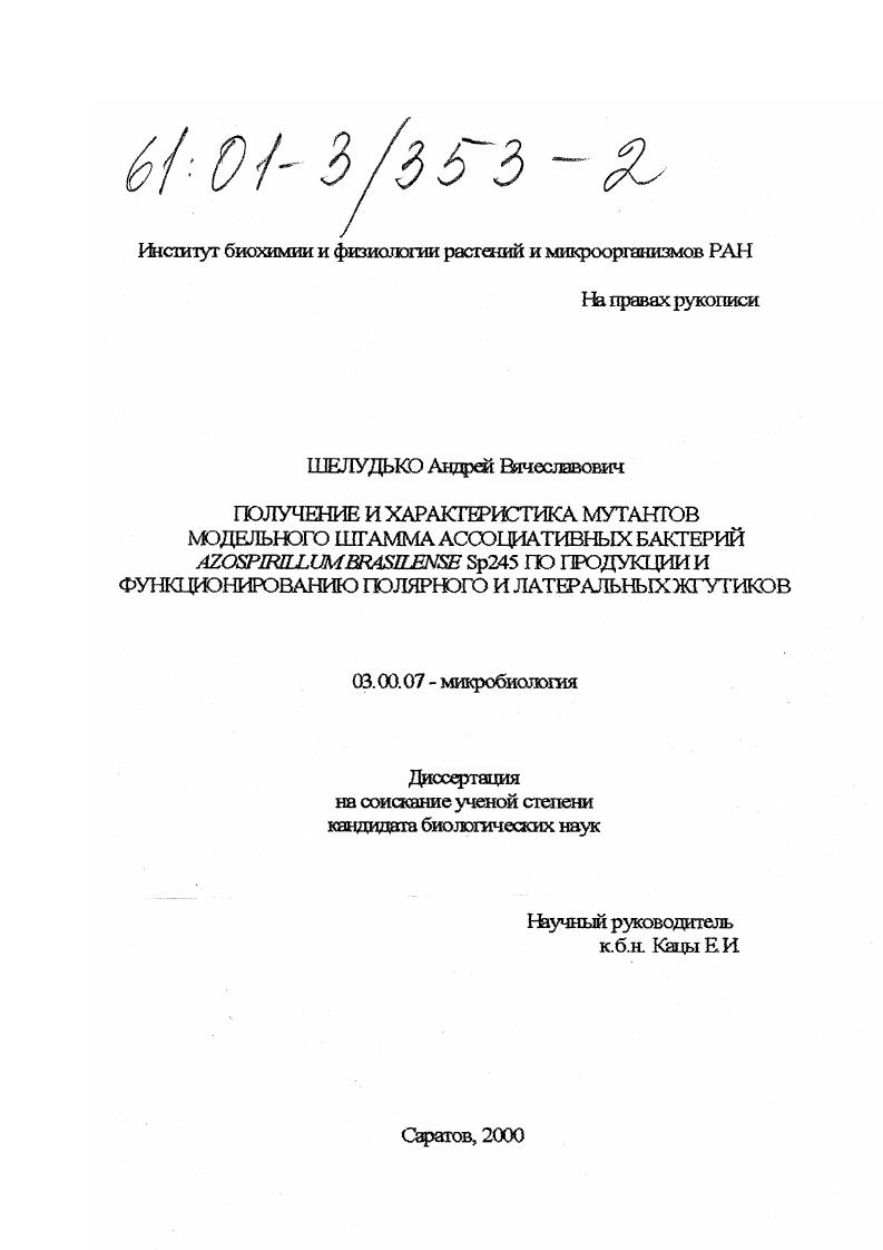 Получение и характеристика мутантов модельного штамма ассоциативных бактерий azospirillum brasilense Sp245 по продукции и функционированию полярного и латеральных жгутиков