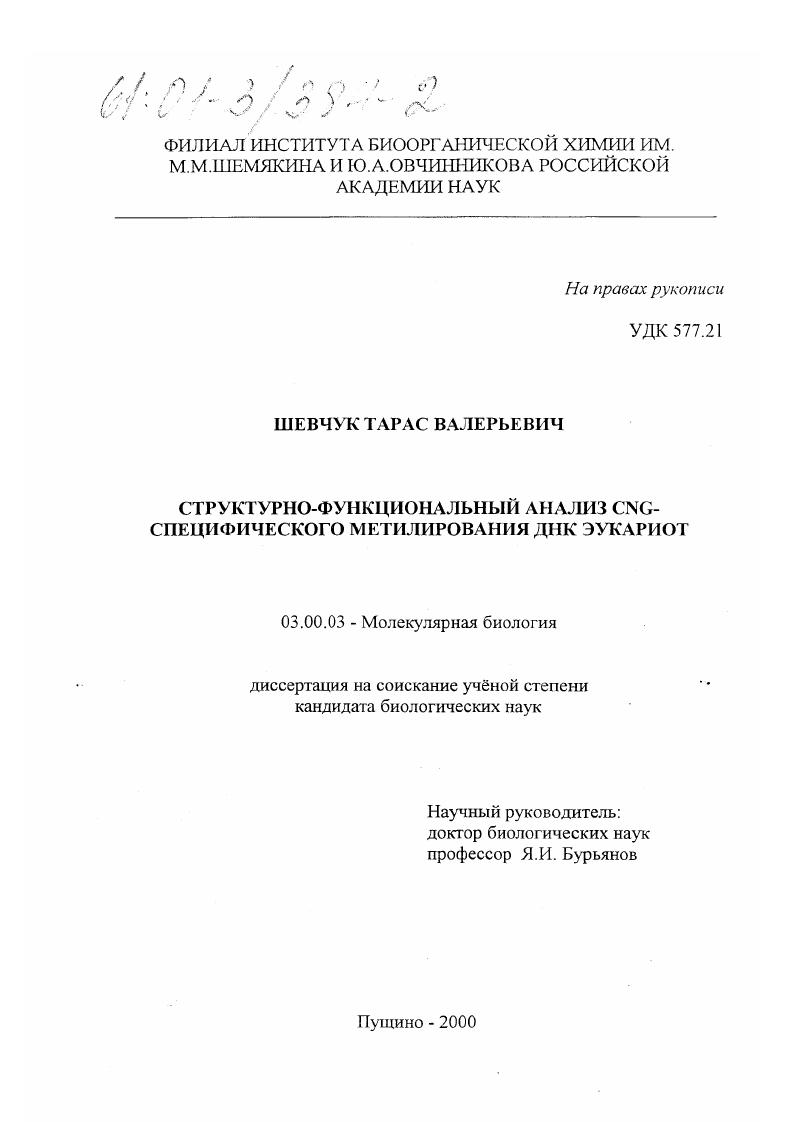 Структурно-функциональный анализ CNG-специфического метилирования ДНК эукариот