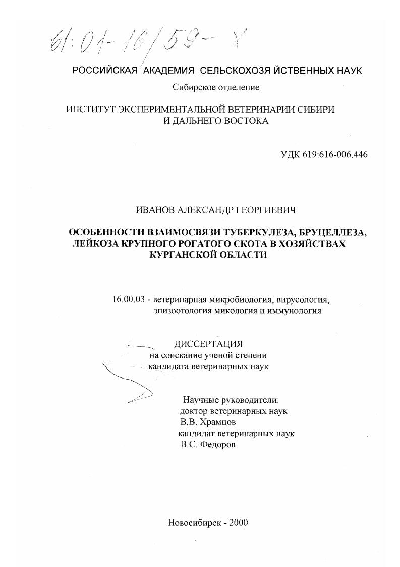 Особенности взаимосвязи проявления туберкулеза, бруцеллеза, лейкоза крупного рогатого скота в хозяйствах Курганской области