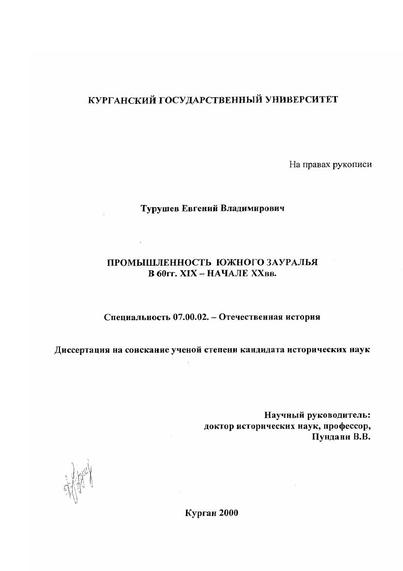 Промышленность Южного Зауралья в 60 гг. XIX - начале XX вв.