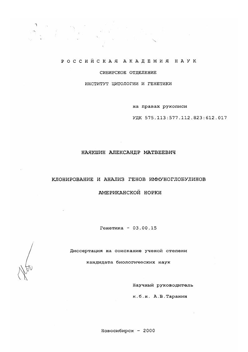 Клонирование и анализ генов иммуноглобулинов американской норки