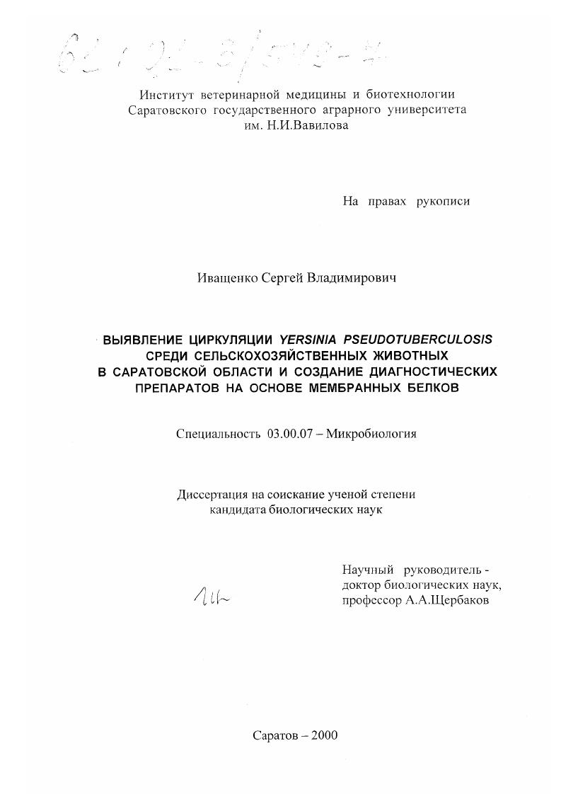 скачать диссертацию Выявление циркуляции Yersinia pseudotuberculosis среди сельскохозяйственных животных в Саратовской области и создание диагностических препаратов на основе мембранных белков Выявление циркуляции Yersinia pseudotuberculosis среди сельскохозяйственных животных в Саратовской области и создание диагностических препаратов на основе мембранных белков