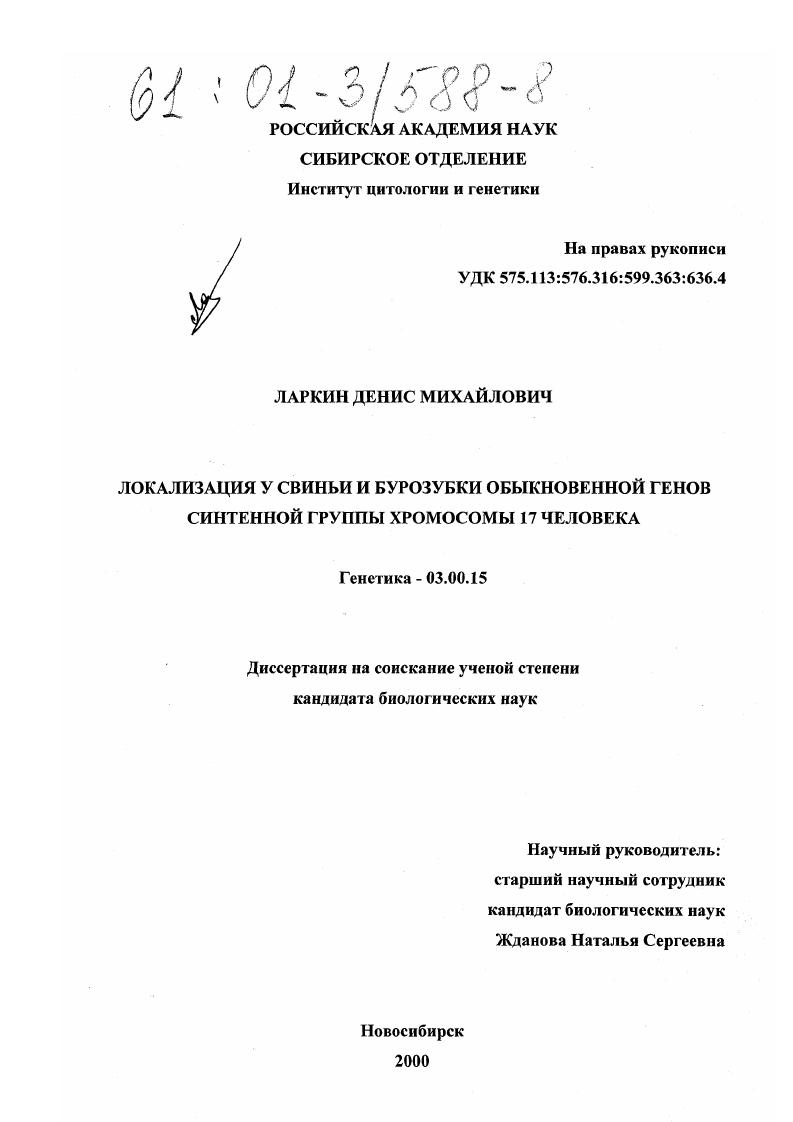 Локализация у свиньи и бурозубки обыкновенной генов синтенной группы хромосомы 17 человека