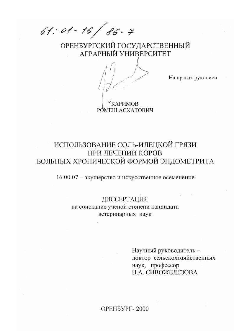 Использование соль-илецкой грязи при лечении коров больных хронической формой эндометрита