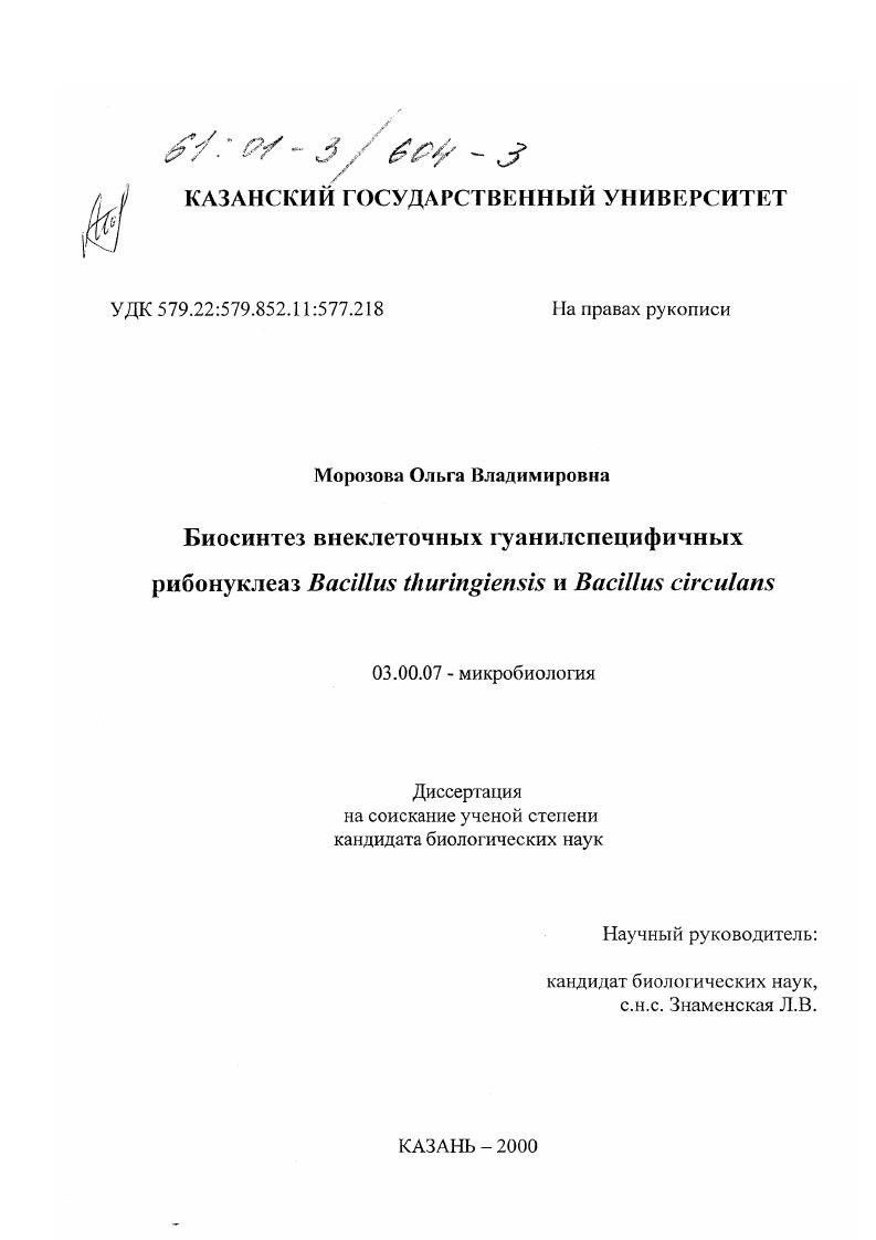 скачать диссертацию Биосинтез внеклеточных гуанилспецифичных рибонуклеаз Bacillus thuringiensis и Bacillus circulans Биосинтез внеклеточных гуанилспецифичных рибонуклеаз Bacillus thuringiensis и Bacillus circulans