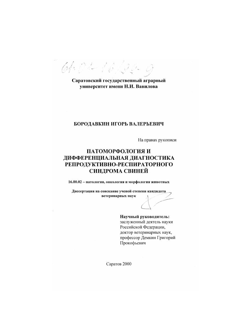 Патоморфология и дифференциальная диагностика репродуктивно-респираторного синдрома свиней