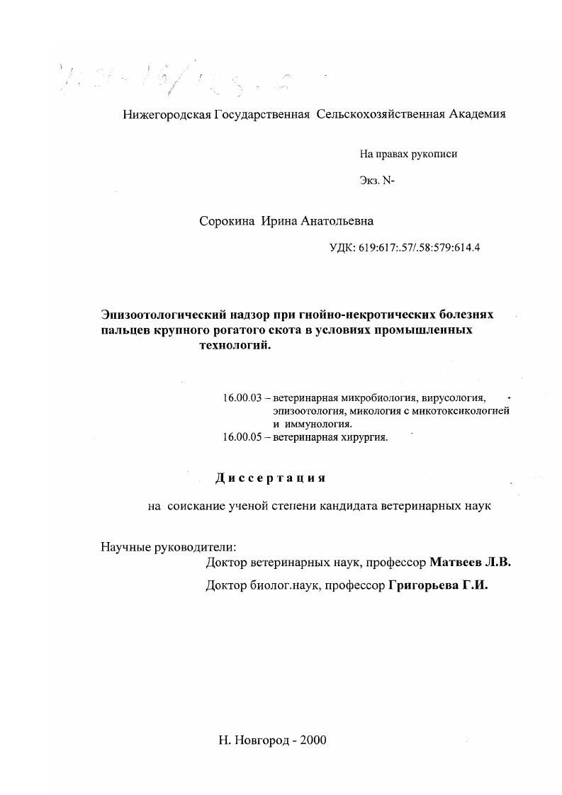 скачать диссертацию Эпизоотологический надзор при гнойно-некротических болезнях пальцев крупного рогатого скота в условиях промышленных технологий Эпизоотологический надзор при гнойно-некротических болезнях пальцев крупного рогатого скота в условиях промышленных технологий