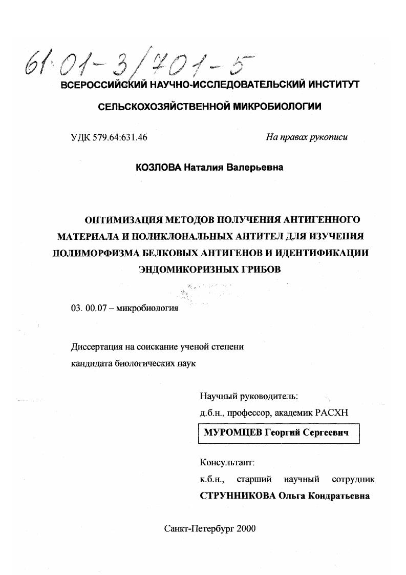 Оптимизация методов получения антигенного материала и поликлональных антител для изучения полиморфизма белковых антигенов и идентификации эндомикоризных грибов